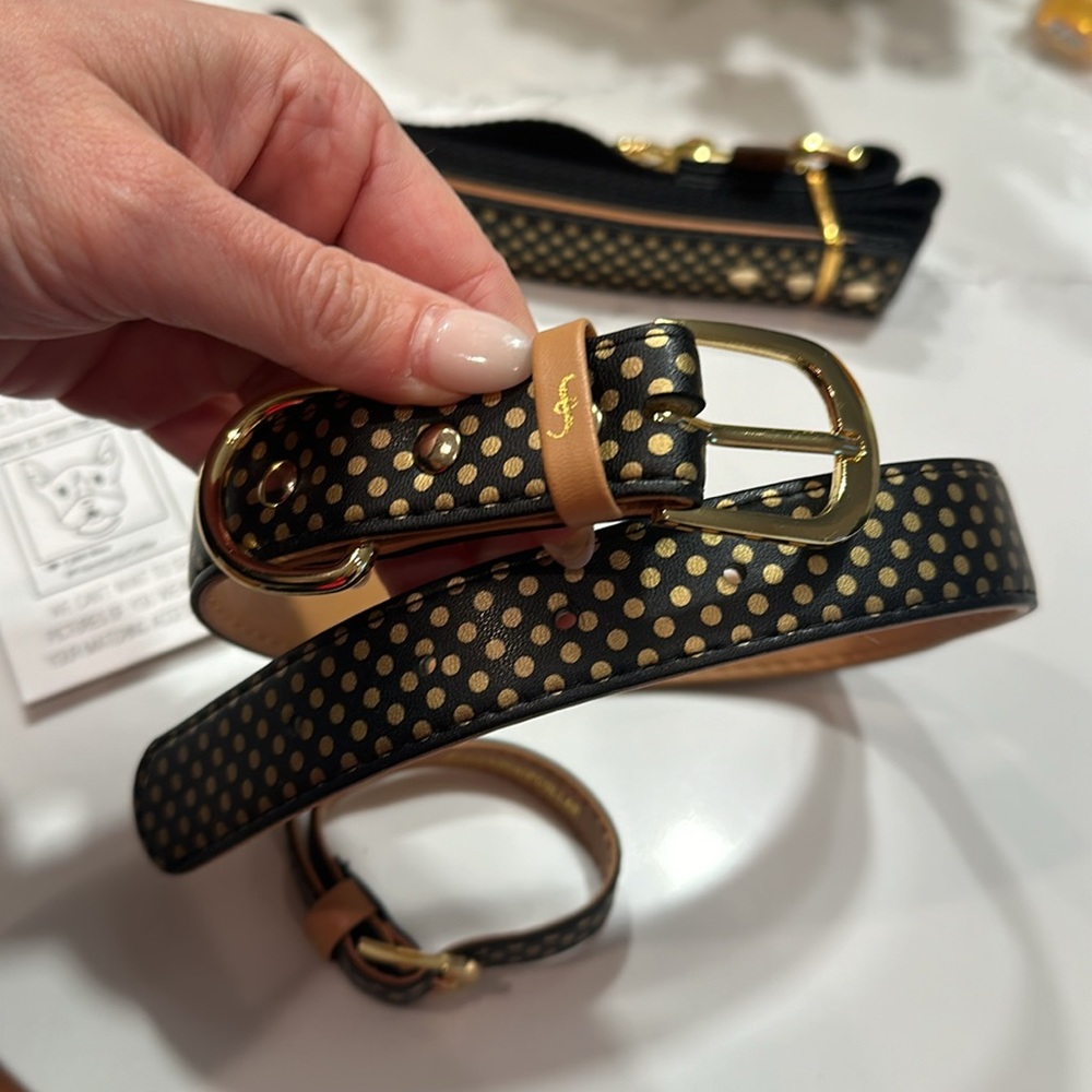 New matching dog collar with leash and owner bracelet - Picture 2 of 5